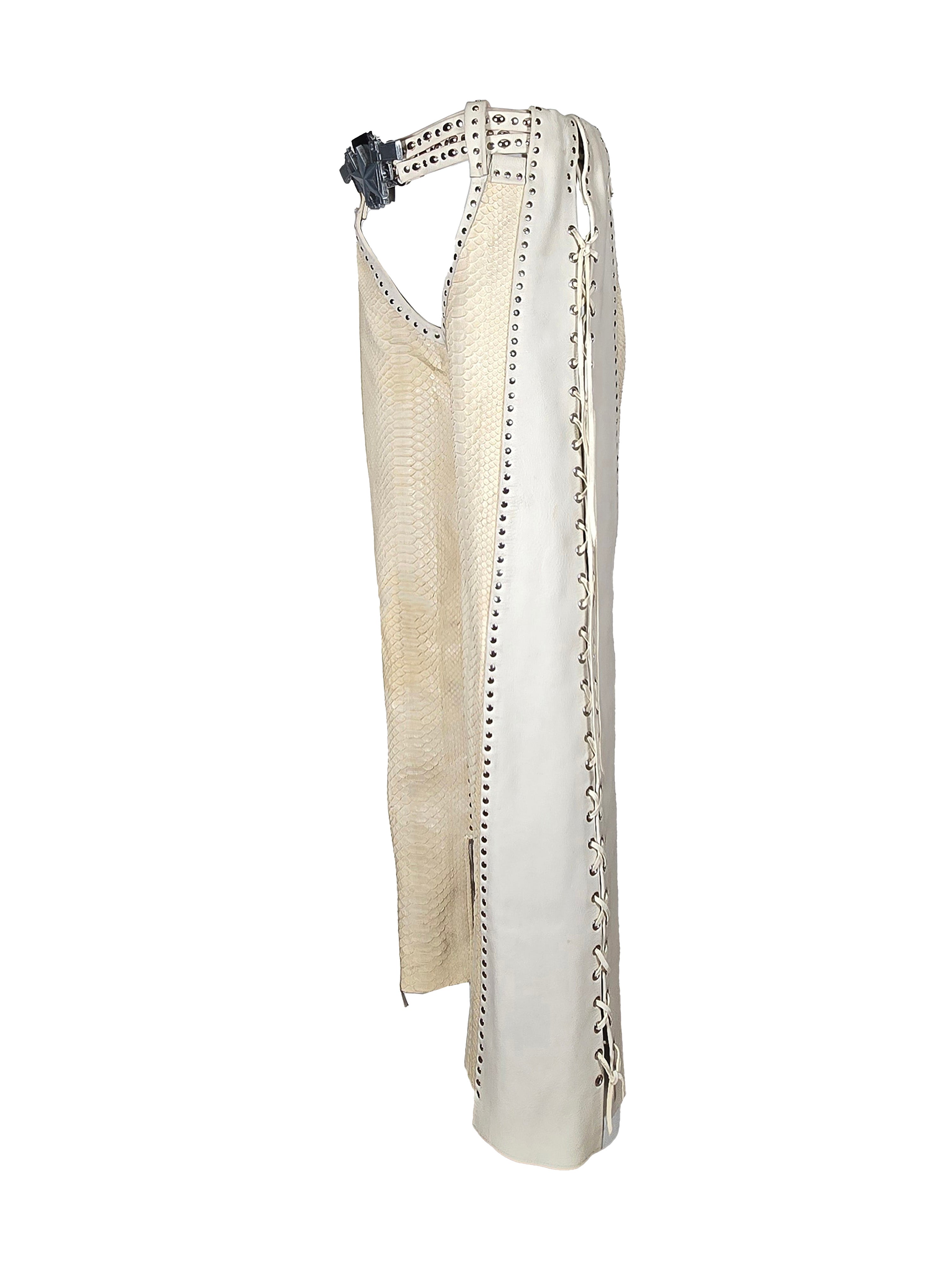 Snakeskin and Leather Chaps